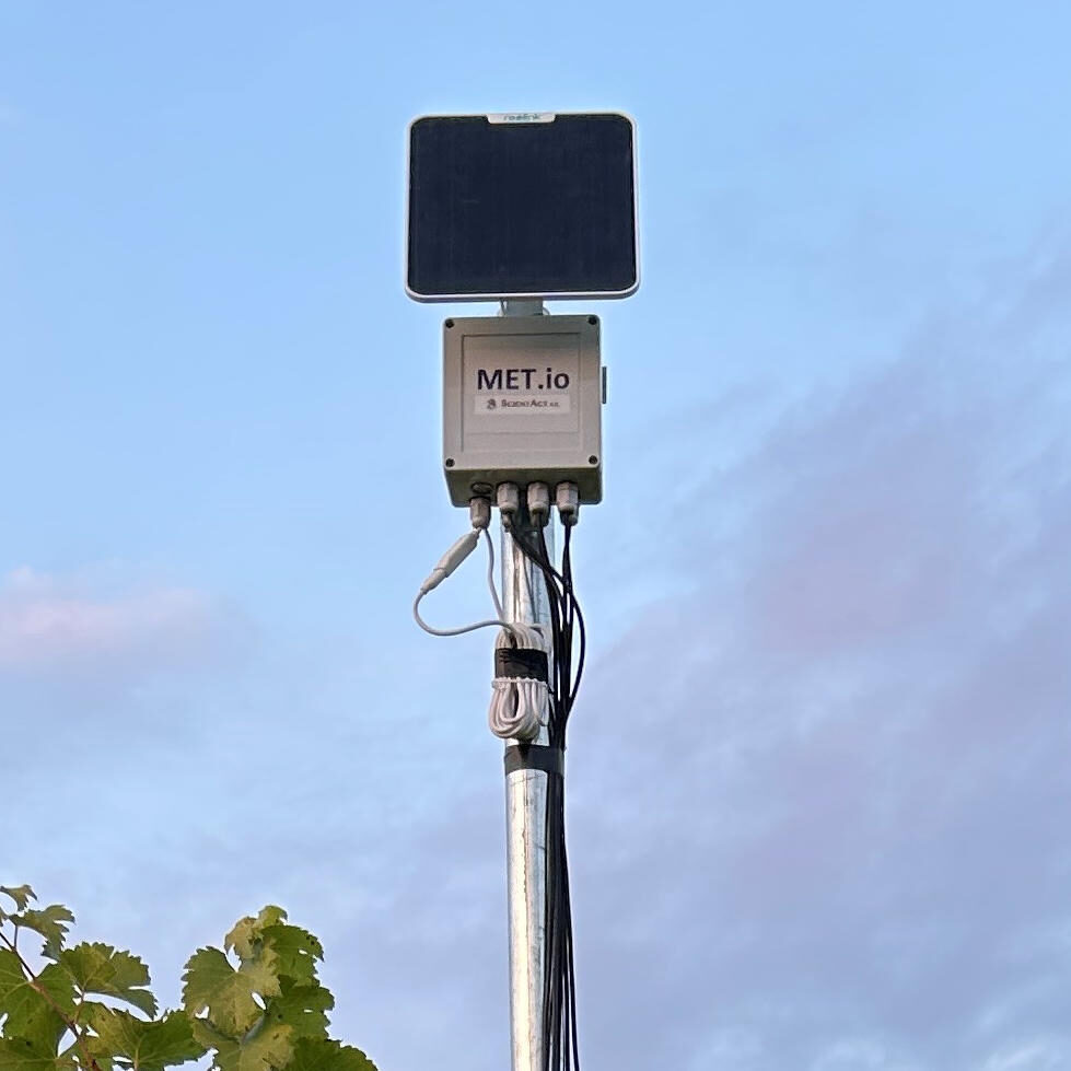 VWC_1_zoom