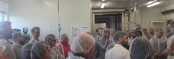 insigh.io participated in the S3FOOD Asturias Matchmaking and Study Visit